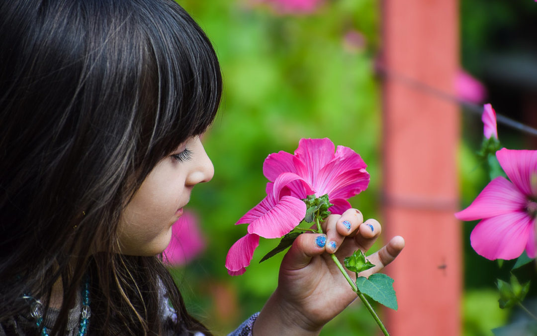Live trainingen stemvorktherapie